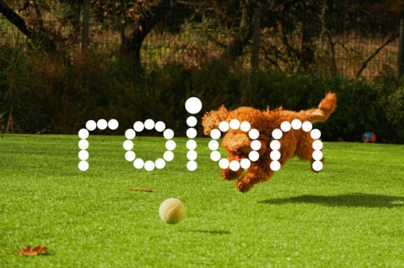 Roinert: A Display Font That Brings Joy to Editorial Moments